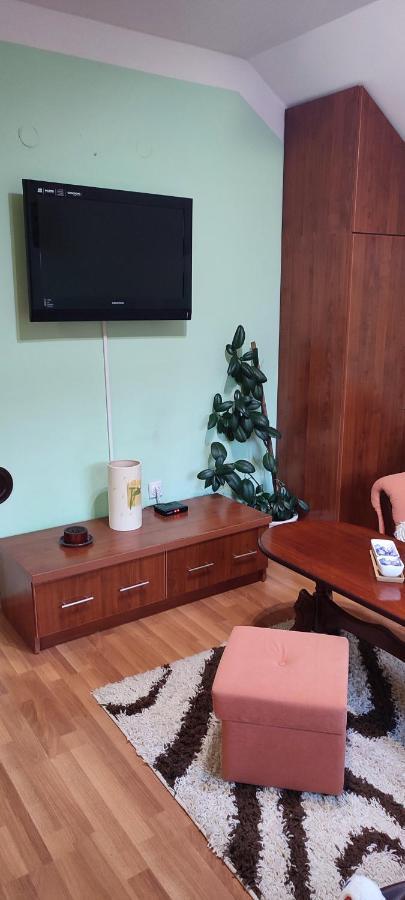 Apartman Sara Pale - Ski Centar Ravna Planina Esterno foto