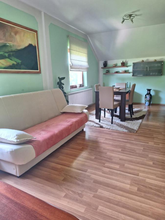 Apartman Sara Pale - Ski Centar Ravna Planina Esterno foto