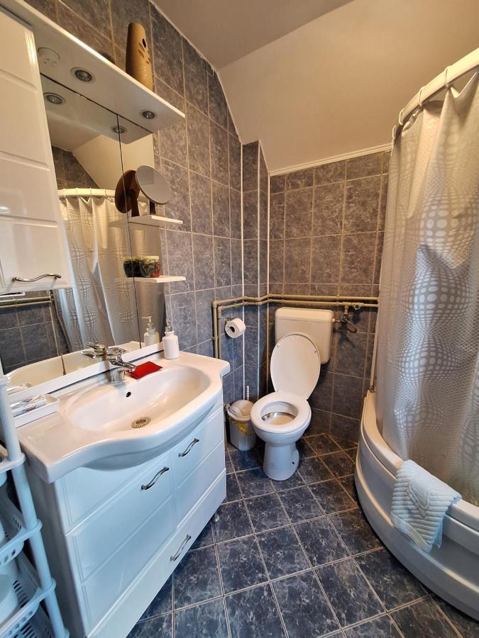 Apartman Sara Pale - Ski Centar Ravna Planina Esterno foto