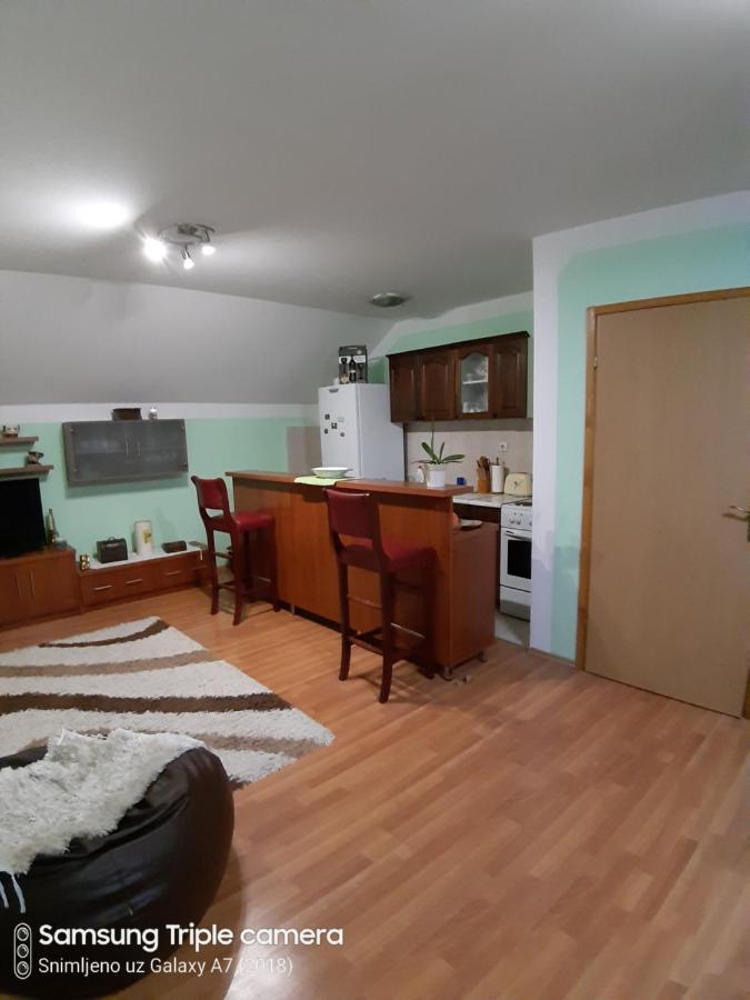 Apartman Sara Pale - Ski Centar Ravna Planina Esterno foto