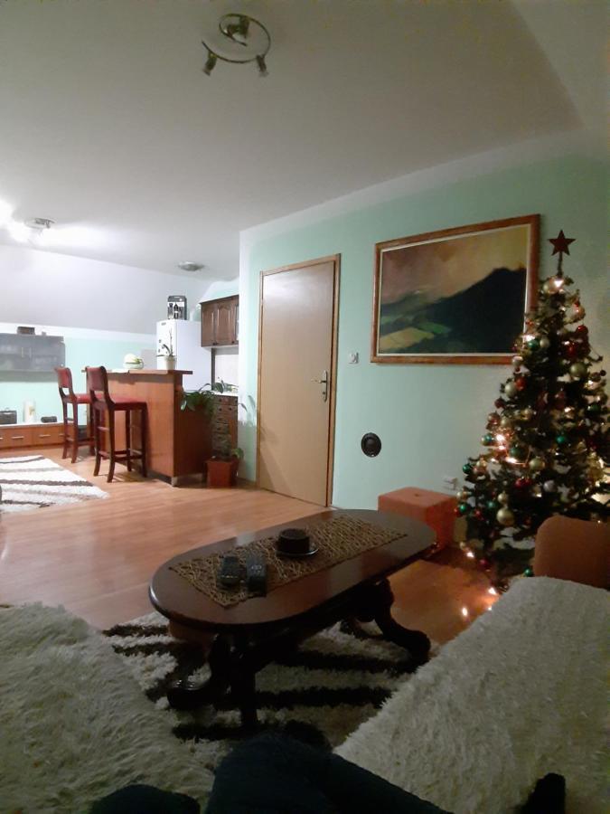 Apartman Sara Pale - Ski Centar Ravna Planina Esterno foto